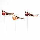 Bird On Wire Harmonia Brown x12