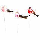 Bird On Wire Harmonia Fuchsia x12