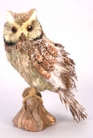 Owl Standing On Wood