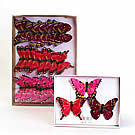 Butterfly Red On Wire x24