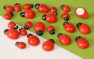 Ladybugs