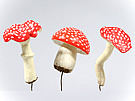 203323 Mushroom Pick x3 Orange Asst