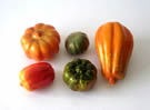 Assorted Pumkin 5pk Small