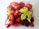 Physalis&leaf in bag