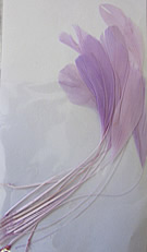 b1482 Diamond Feather Lilac