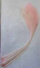 b1482 Diamond Feather Pale Pink