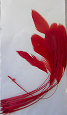 b1482 Diamond Feather Red