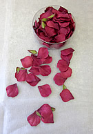 b1504 Burgundy rose petals