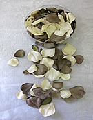 b1504 Champagne Brown Rose Petals