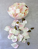 b1504 Champagne Pink Rose Petals