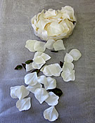 b1504 Cream Ivory rose petals