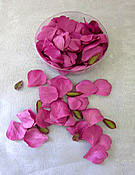 b1504 Fushia Rose Petals