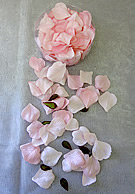 b1504 Pink Rose Petals