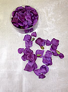 b1504 Plum Rose Petals