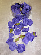 b1504 Purple Rose Petals