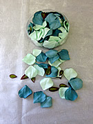 b1504 Turquoise Sage Rose Petals