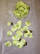 b1504 Two Tone Green Rose Petals