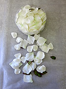 b1504 White Green Rose Petals