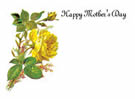 Happy Mothers Day Yellow Rose