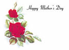 Happy Mother's Day Red Rose