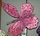 Pink Butterfly