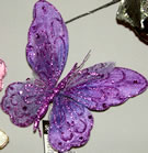 Purple Butterfly