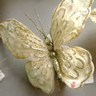 Cream Silver Butterfly