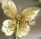 Creamgold Butterfly