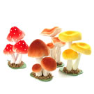 Mushrooms