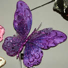 Purple Butterfly