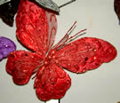 Red Butterfly