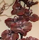 Brown Orchid With Silver Glitter