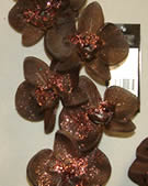 Orchid Brown Glittered