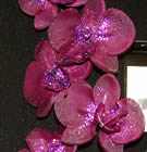 Purple Glitter Orchid