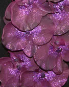 Purple Glittered Orchid