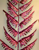 Purple Leather Leaf