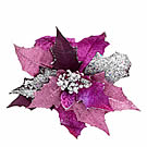 Purple Silver Poinsettia