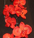 Red Glitter Orchid