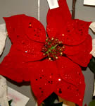 Red Glitter Poinsettia