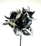 Silver Black Amaryllis