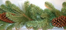 wz79537 Pine Garland With Cones