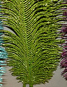 x50383 Green Glitter Fern