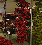 z70339 Berry Garland