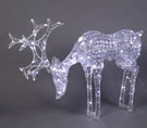 Bending Deer Crystal White 42inch