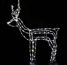 LED Reindeer 1281