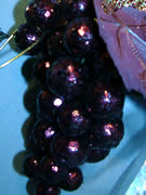 Plum Grape Glittered