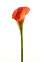 Silk Flowers Calla Lily Orange