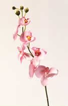 Silk Flowers Cymbidium Pink