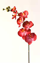 Silk Flowers Cymbidium Red