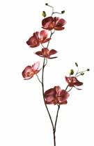 Silk Flowers Cymbidium 2 stem burgundy